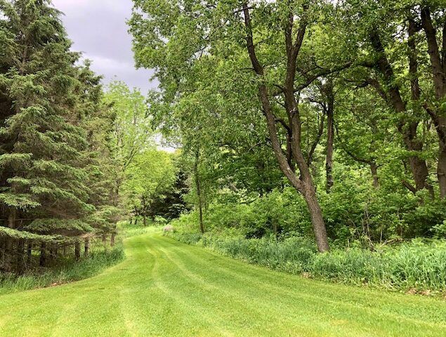 A lush green field surrounded by trees and bushes on a cloudy day.