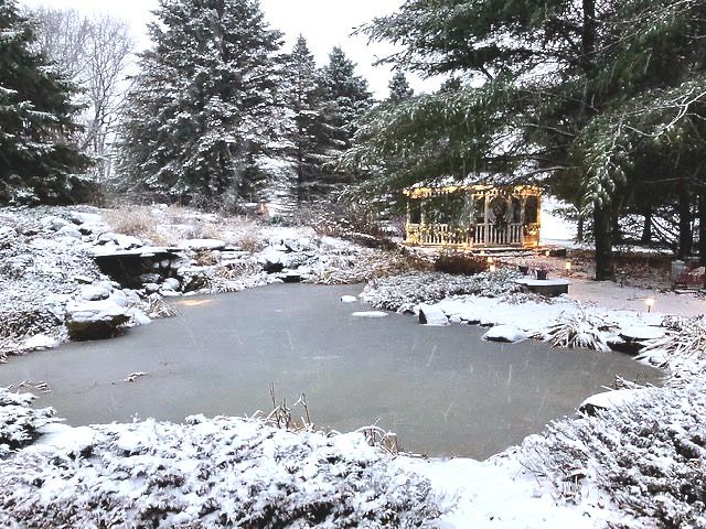 A pond surrounded by snow and trees with a gazebo in the background