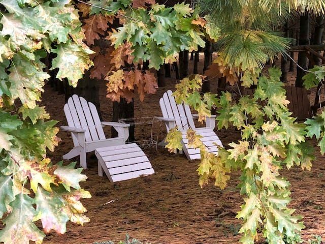 Two white chairs are sitting in the woods surrounded by leaves.