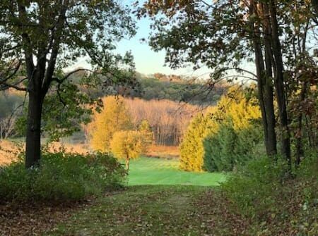 A path in the woods leading to a green field surrounded by trees.