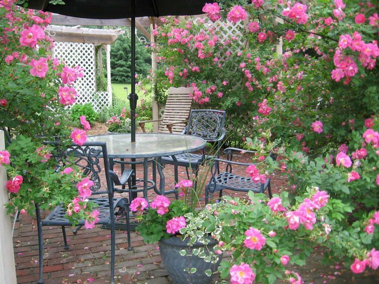 A patio with a table and chairs surrounded by pink flowers