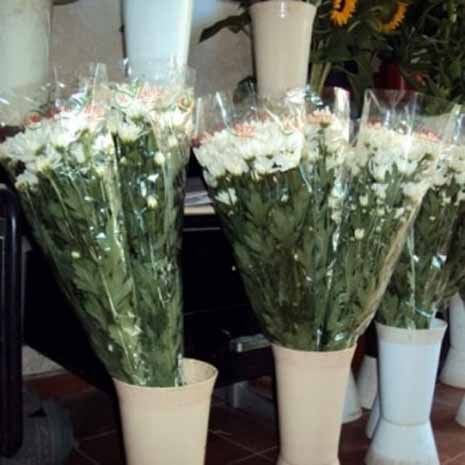 mazzi di fiori in vasi