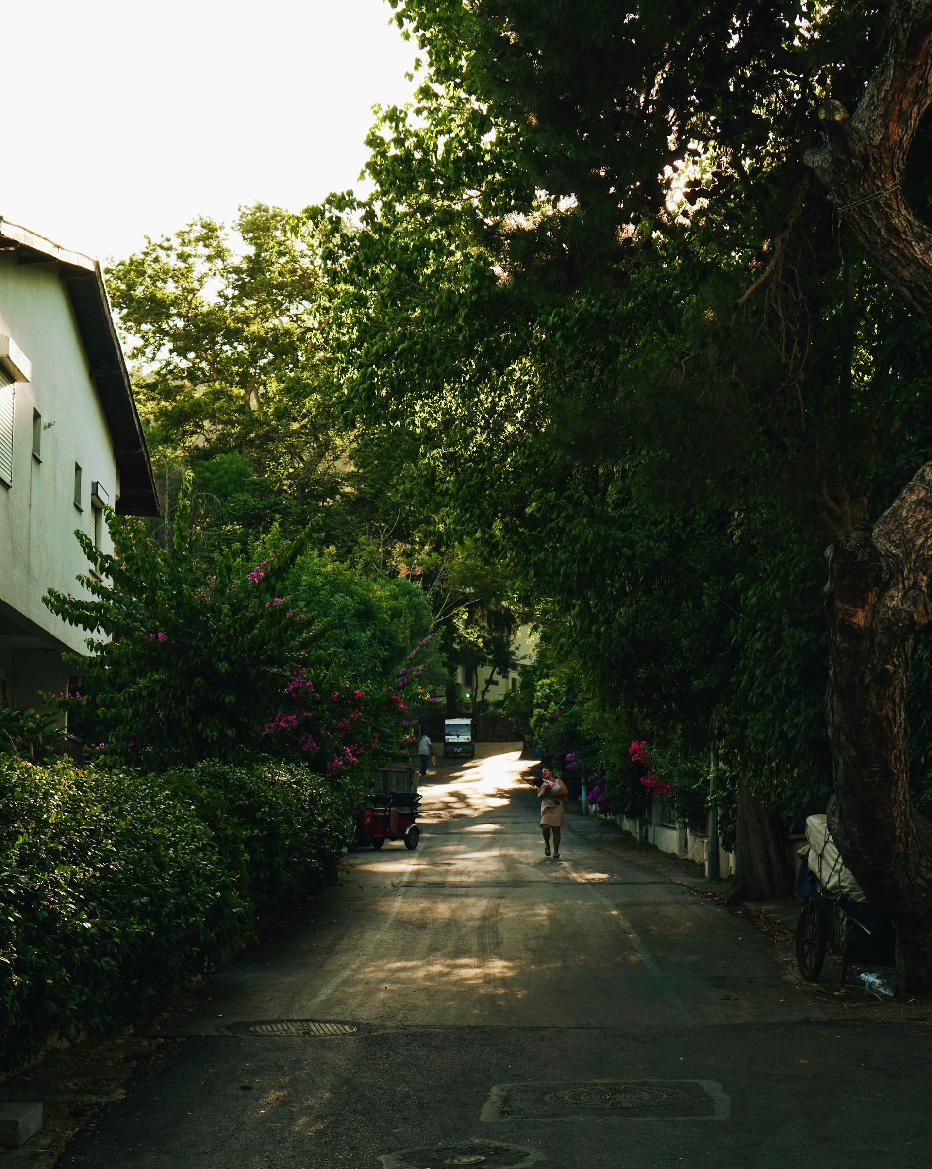 Picture of street