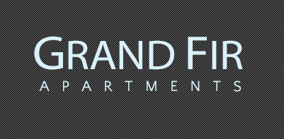 Grand Fir