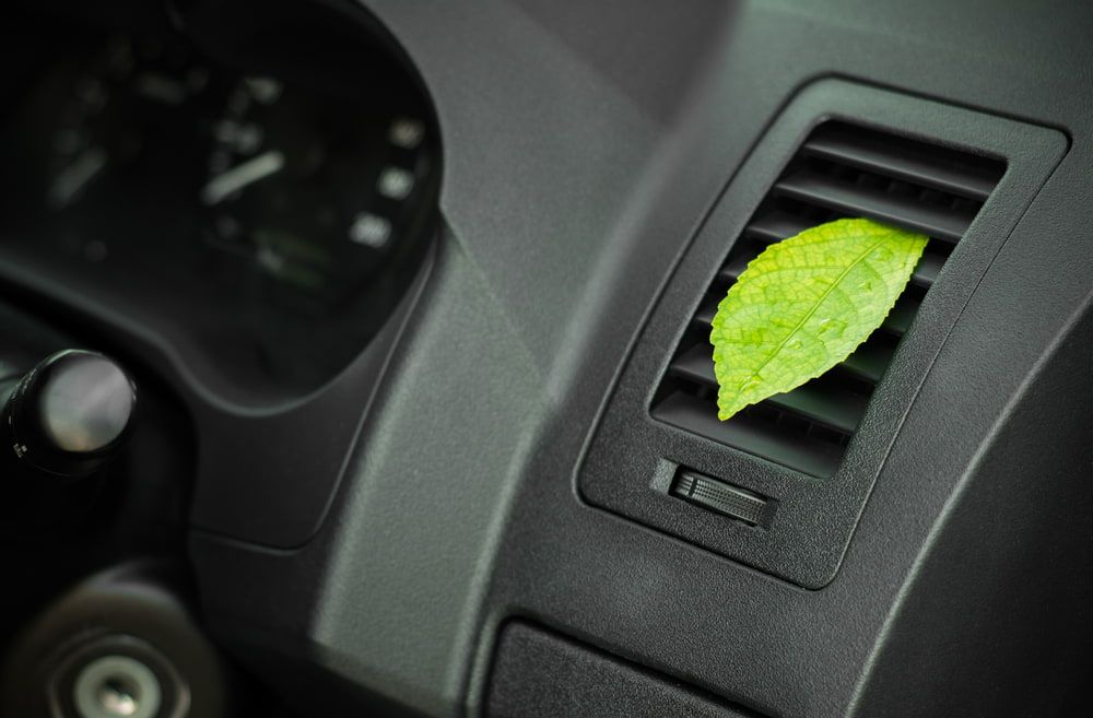 Leaf sticking out of a Car Air Conditioner — Mechanic in Mission Beach, QLD