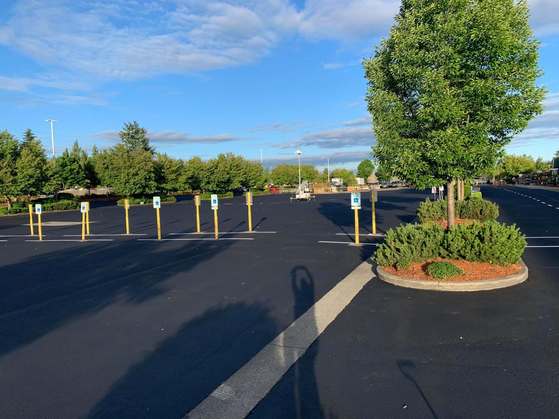 A parking lot with a tree in the middle of it