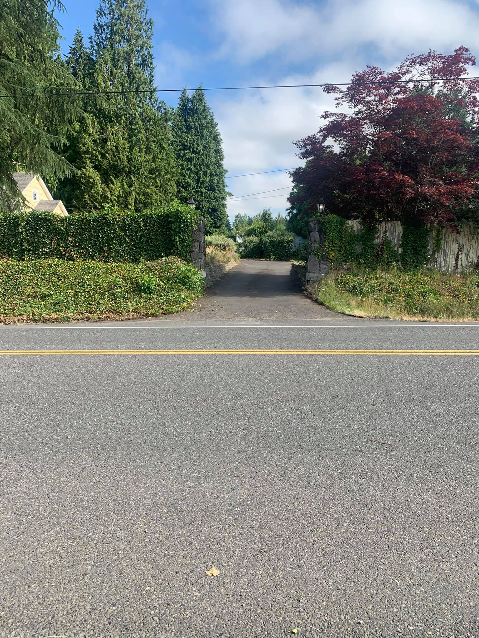 A road with trees on the side of it and a yellow line.