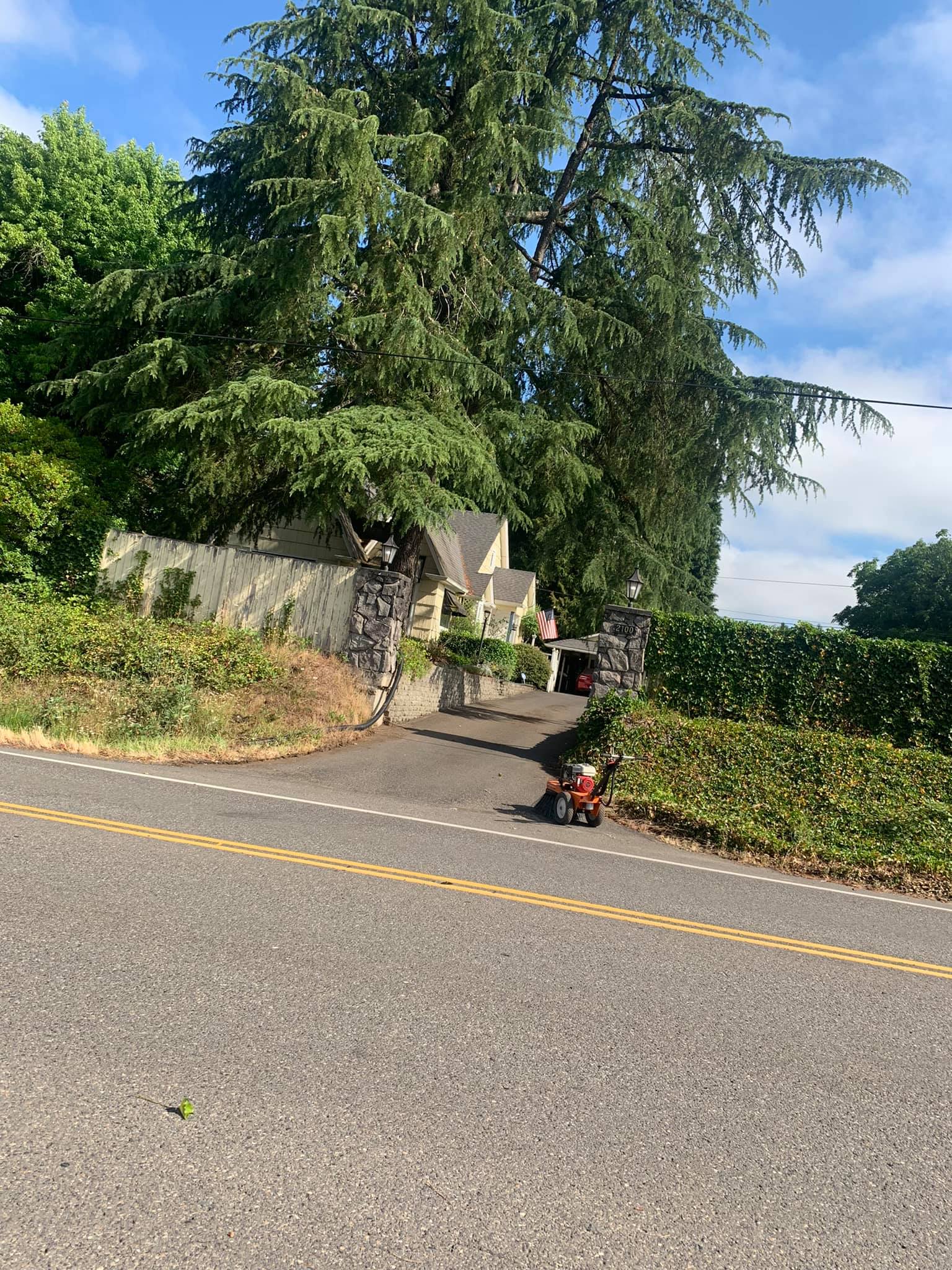 A person is riding a skateboard down a road.