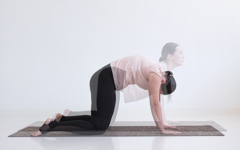 Cat Cow Yoga Pose for back stretch