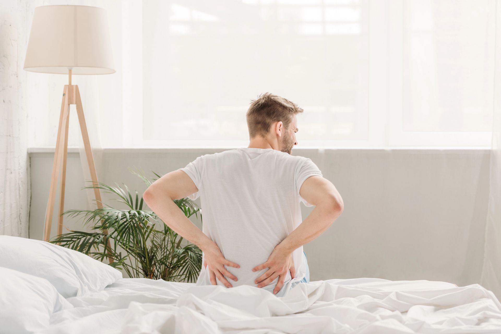 QL could be the Cause of your Lower Back Pain