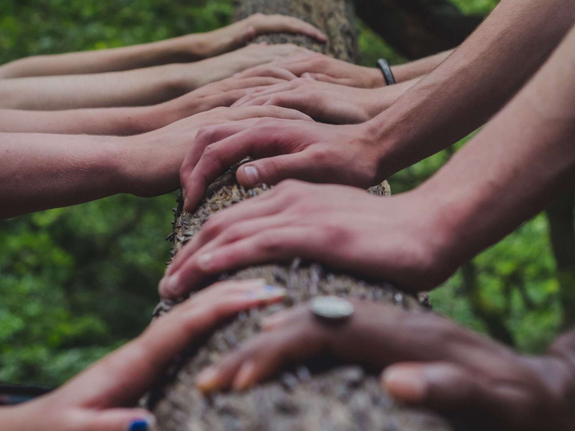 Group of Hands on a Tree During a Memorial