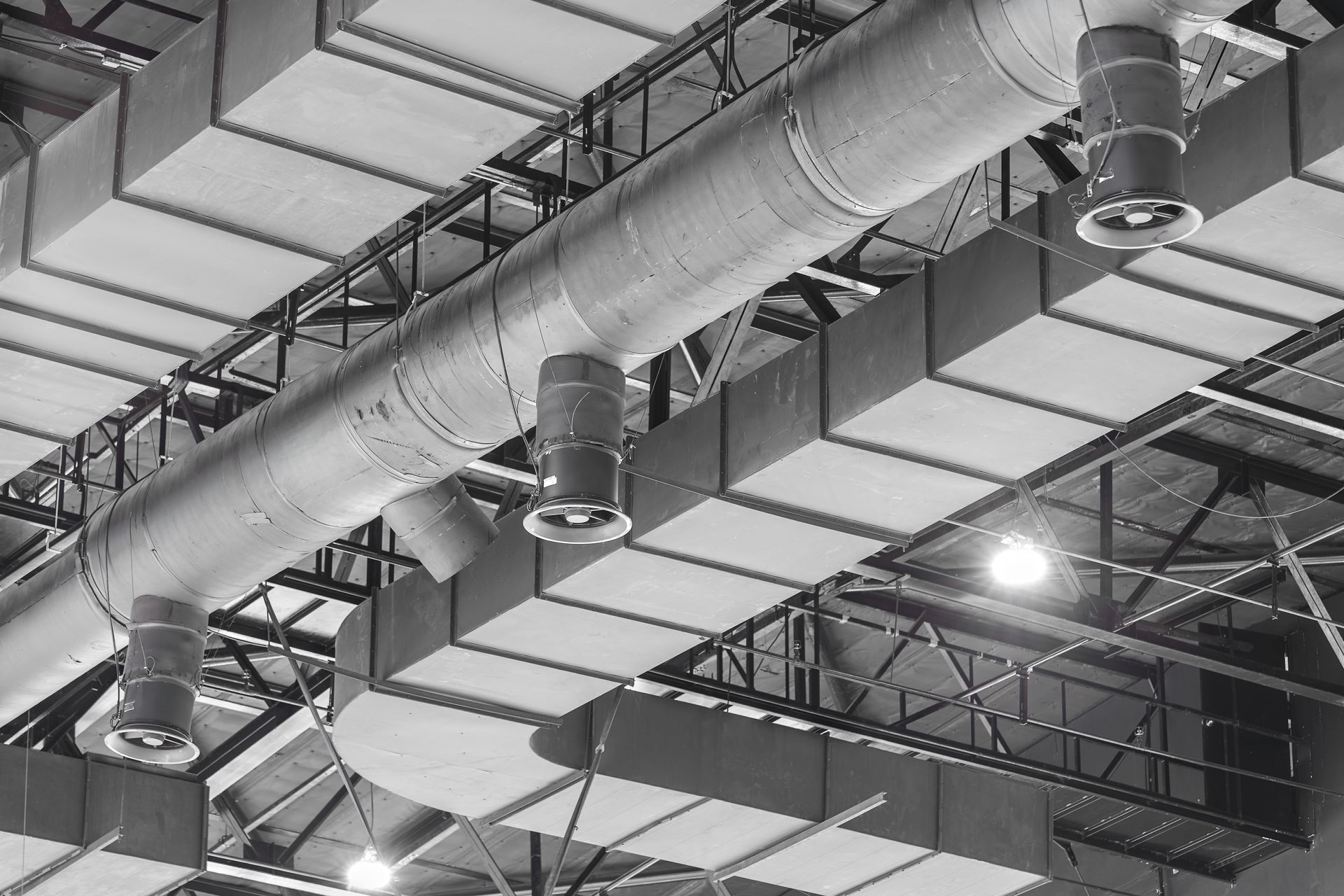 A black and white photo of the ceiling of a building