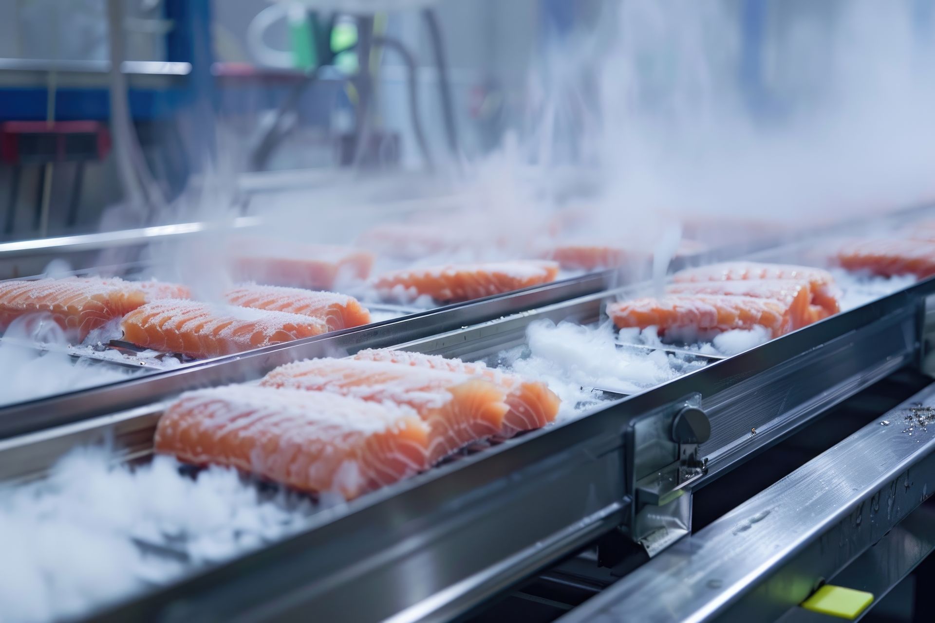 A conveyor belt filled with salmon and ice in a factory.