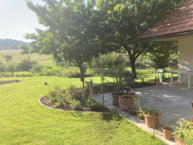 H1 Szikszay GardenH1 Szikszay Garden