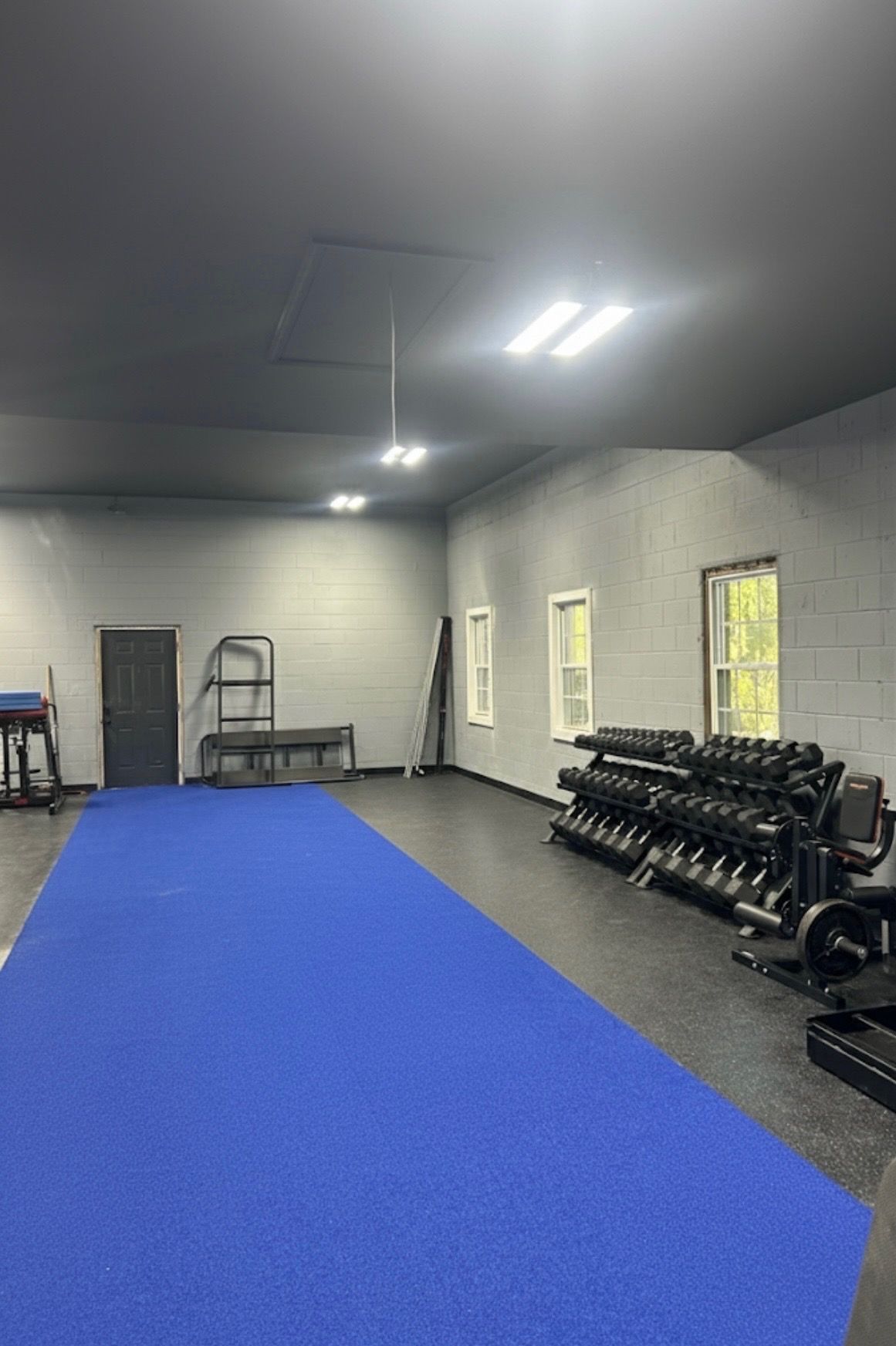 Gym interior with blue floor mat, weights, and workout equipment.