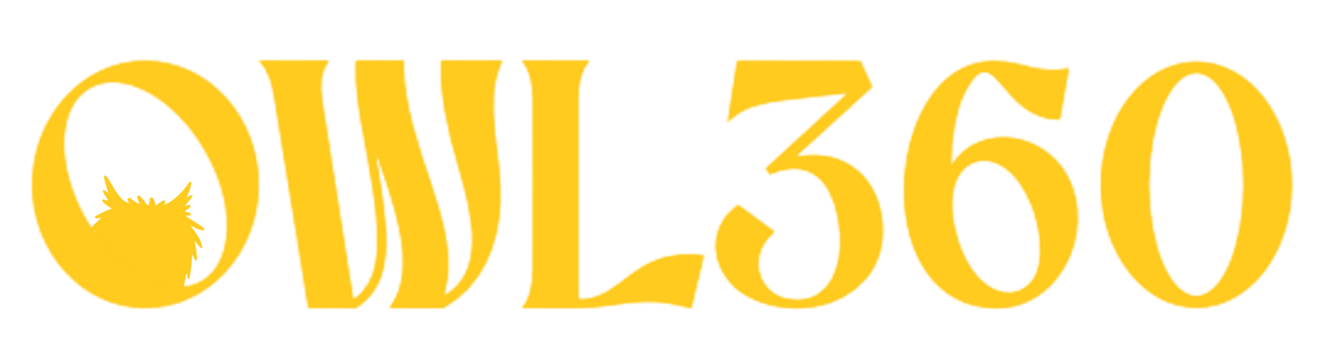 OWL 360