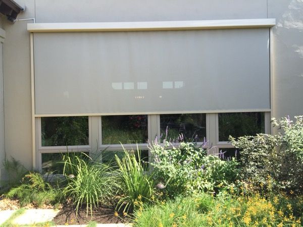 A window with a blind on it is surrounded by plants.