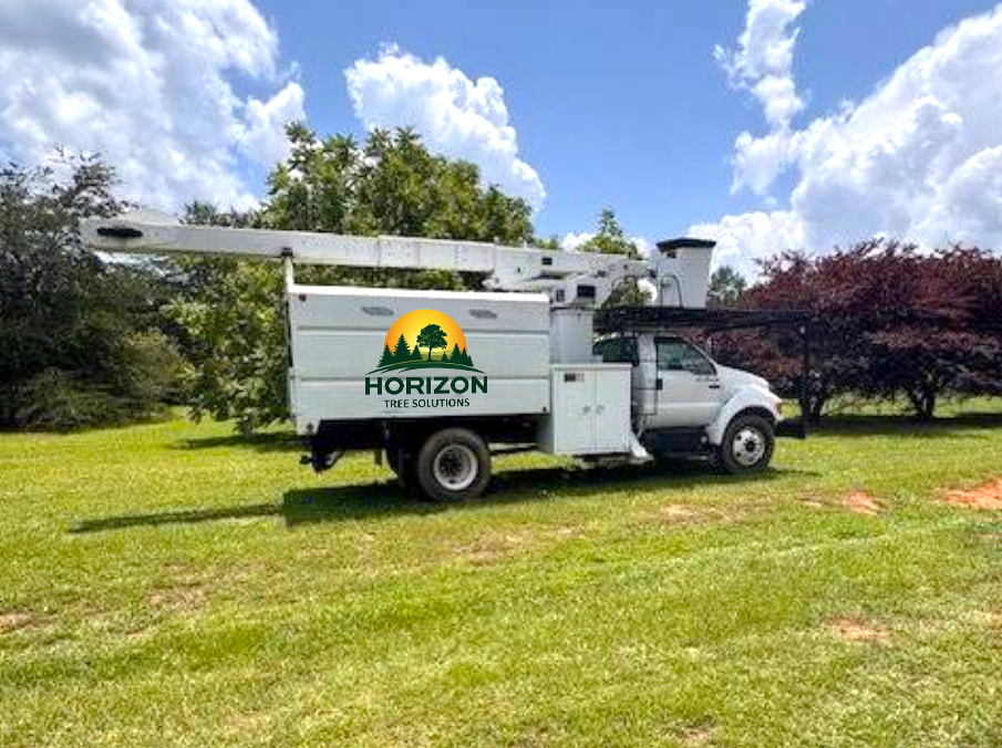 Arborist trimming a tree, secured by safety gear, with crane overhead. Gray tree trunk and leafy branches against blue sky.