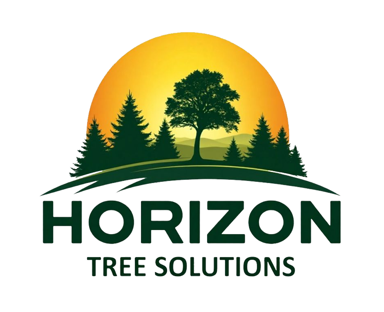 Horizon Tree Solutions logo with a sunrise behind trees.