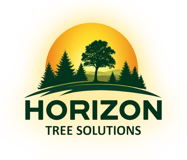 A large tree with green leaves above the words 