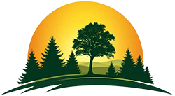Sunset over trees and hills, with a large tree in the center and pine trees on either side.
