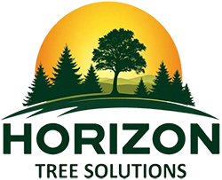 The logo for chase mechanical is black and blue