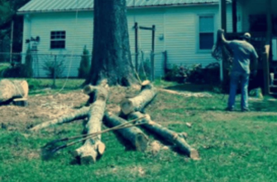 A person cutting wood in a yard with a tree and a house in the background; logs in the foreground.