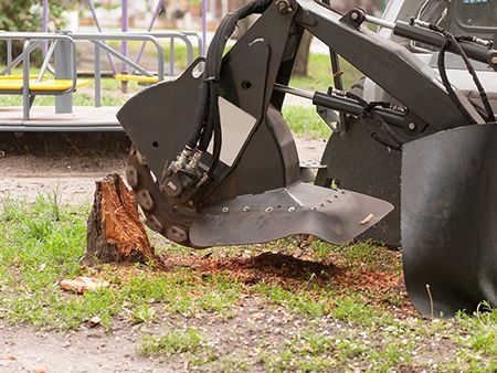 Stump grinder grinding down a tree stump in a grassy area, near a park playground.