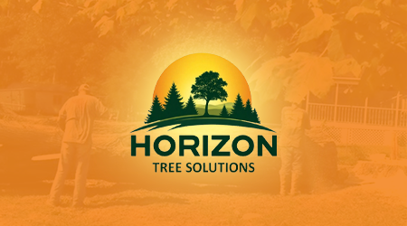 A man is cutting a tree with a chainsaw.