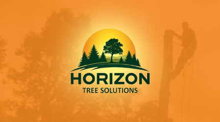 A man is cutting a tree with a chainsaw.