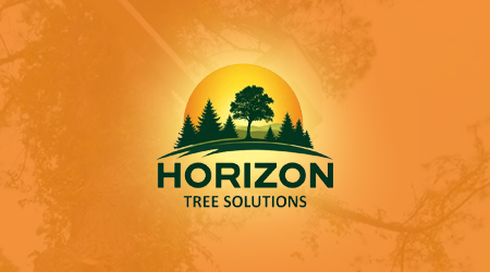 A man is cutting a tree with a chainsaw.