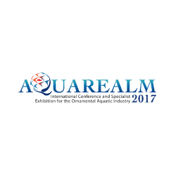 Essential Global Fairs @ Aquarealm