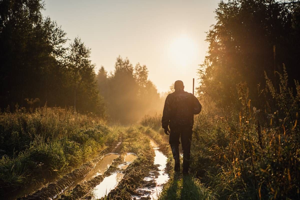 The silhouette of a hunter in the forest using varmint bullets near Cynthiana, Kentucky (KY)