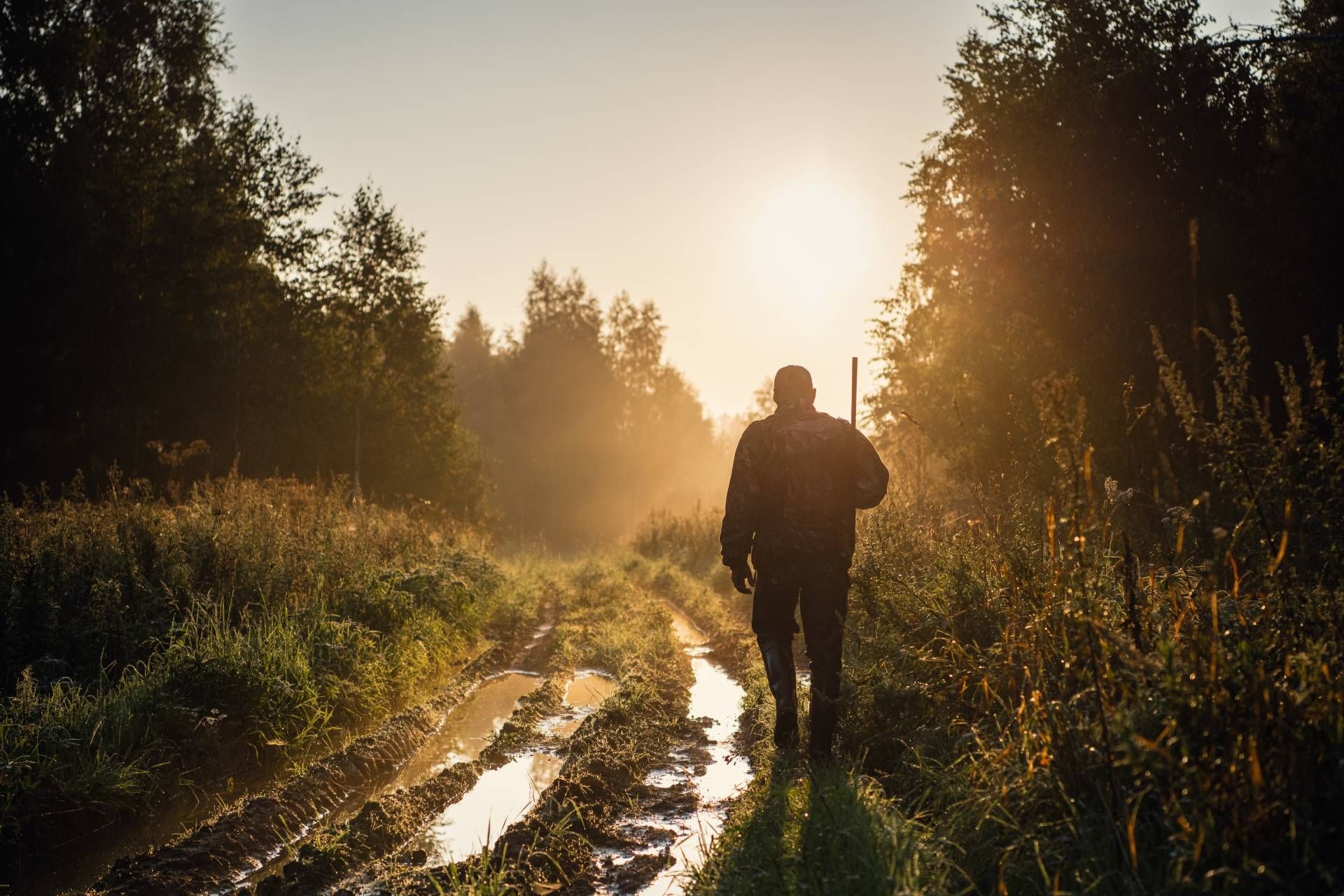 The silhouette of a hunter in the forest using varmint bullets near Cynthiana, Kentucky (KY)