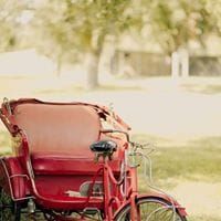 A red rickshaw is parked in the grass in a park.