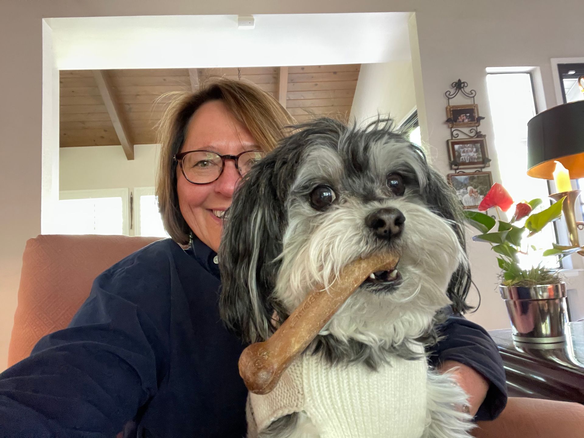A woman is holding a small dog with a bone in its mouth.