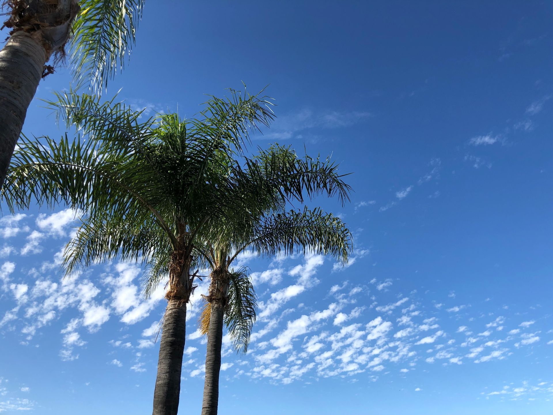 A man in a suit and tie is sitting at a table with two people.