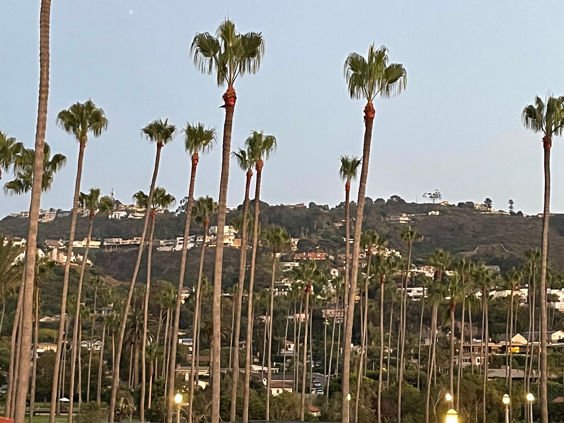 Divorce mediation: couple gesturing, lawyer at table, gavel, wedding ring on base.
