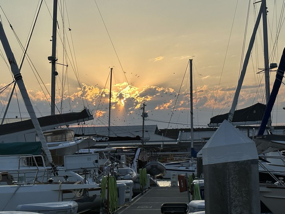A group of boats are docked in a marina at sunset.