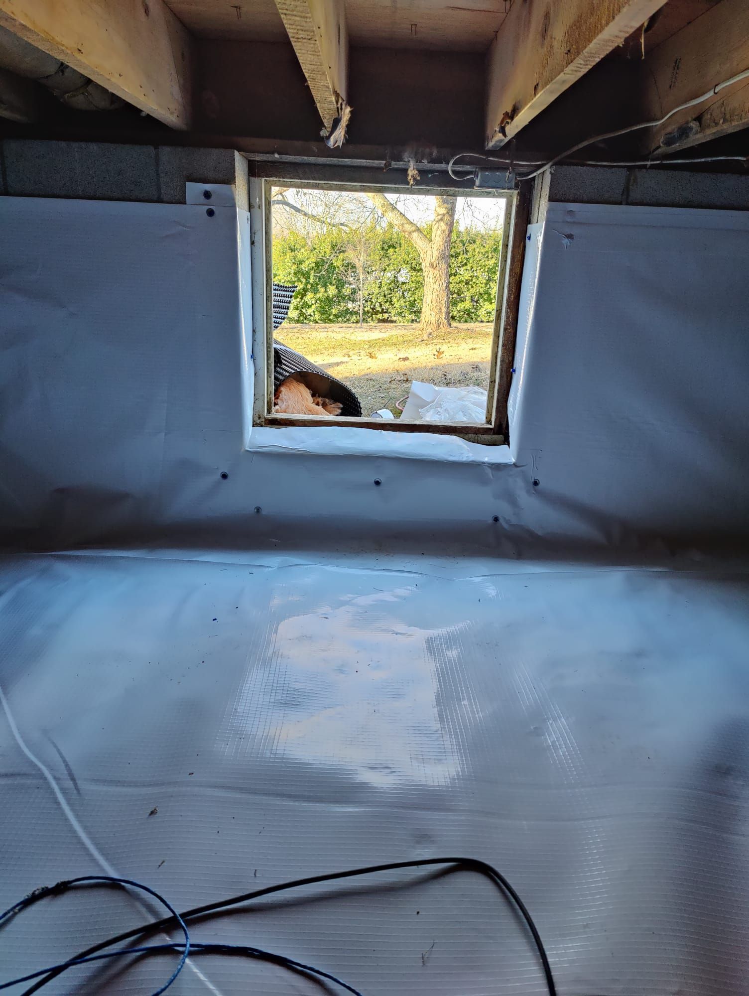 A person is looking out of a window in a basement.