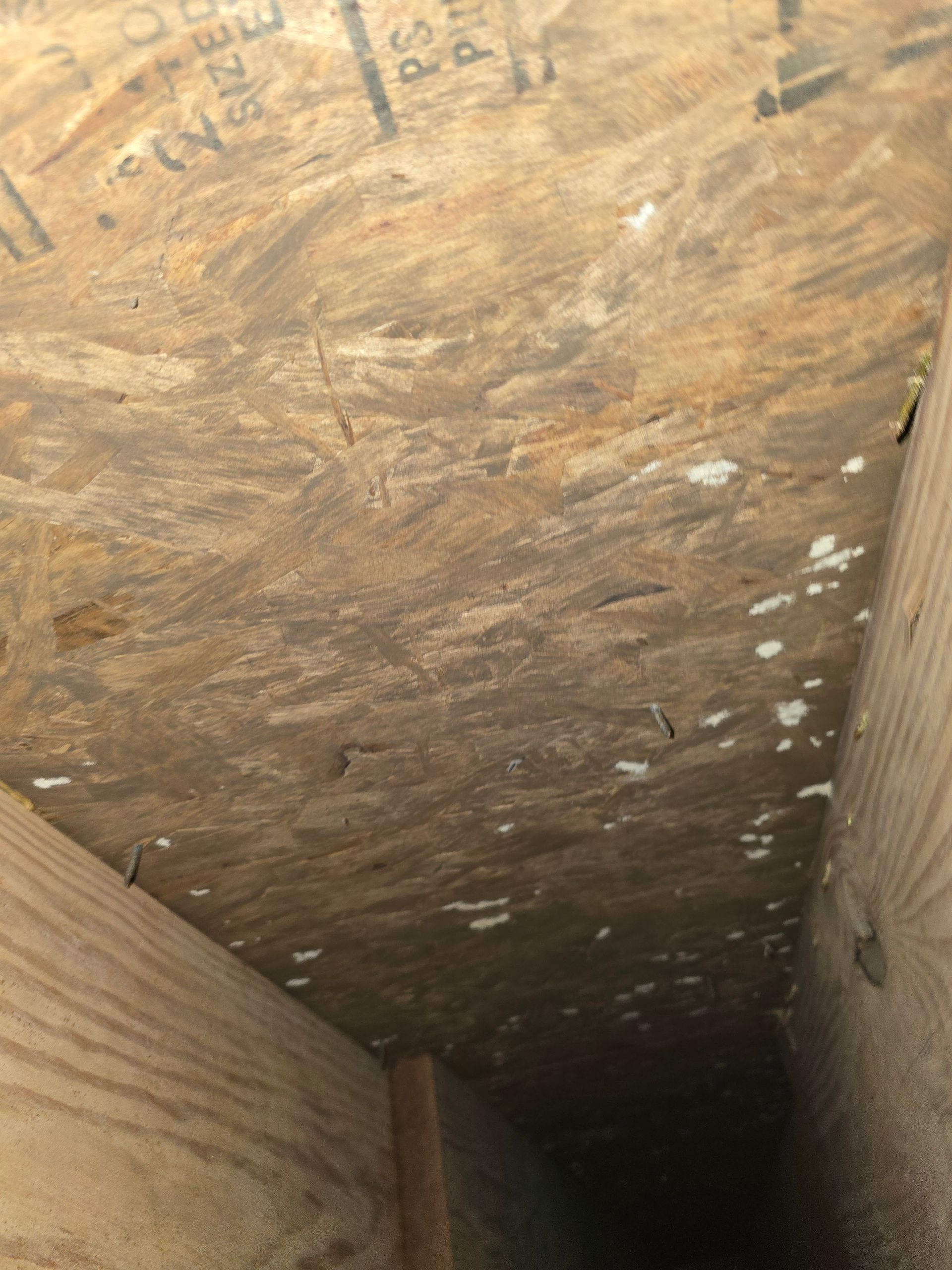 A wooden ceiling with a lot of white spots on it.