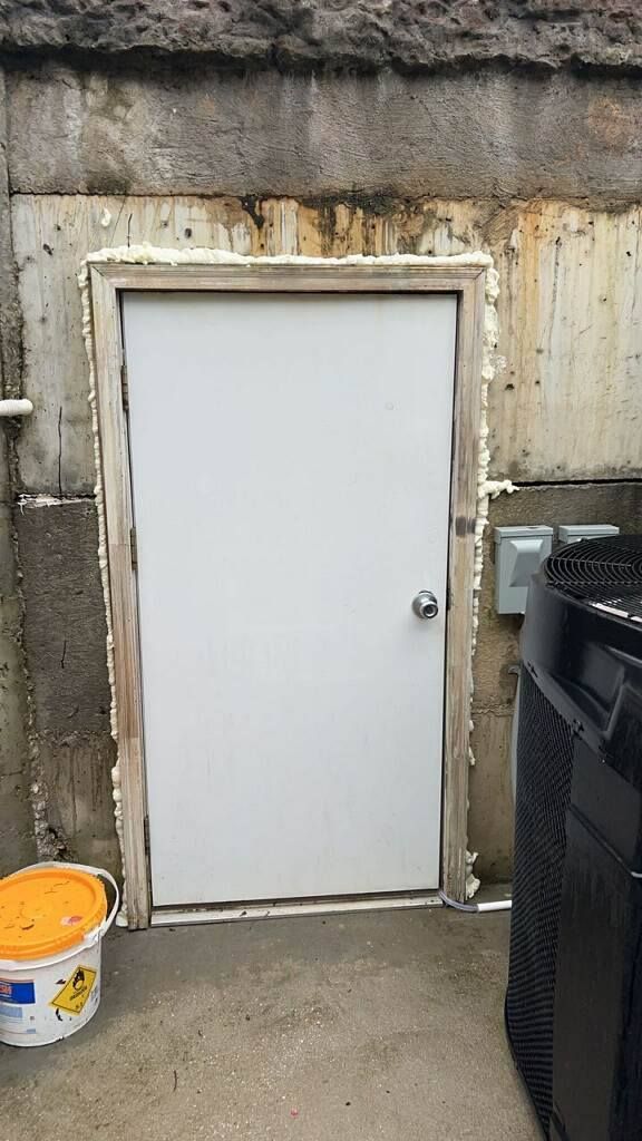 A Room with A Lot of Mold on The Walls and Floor.