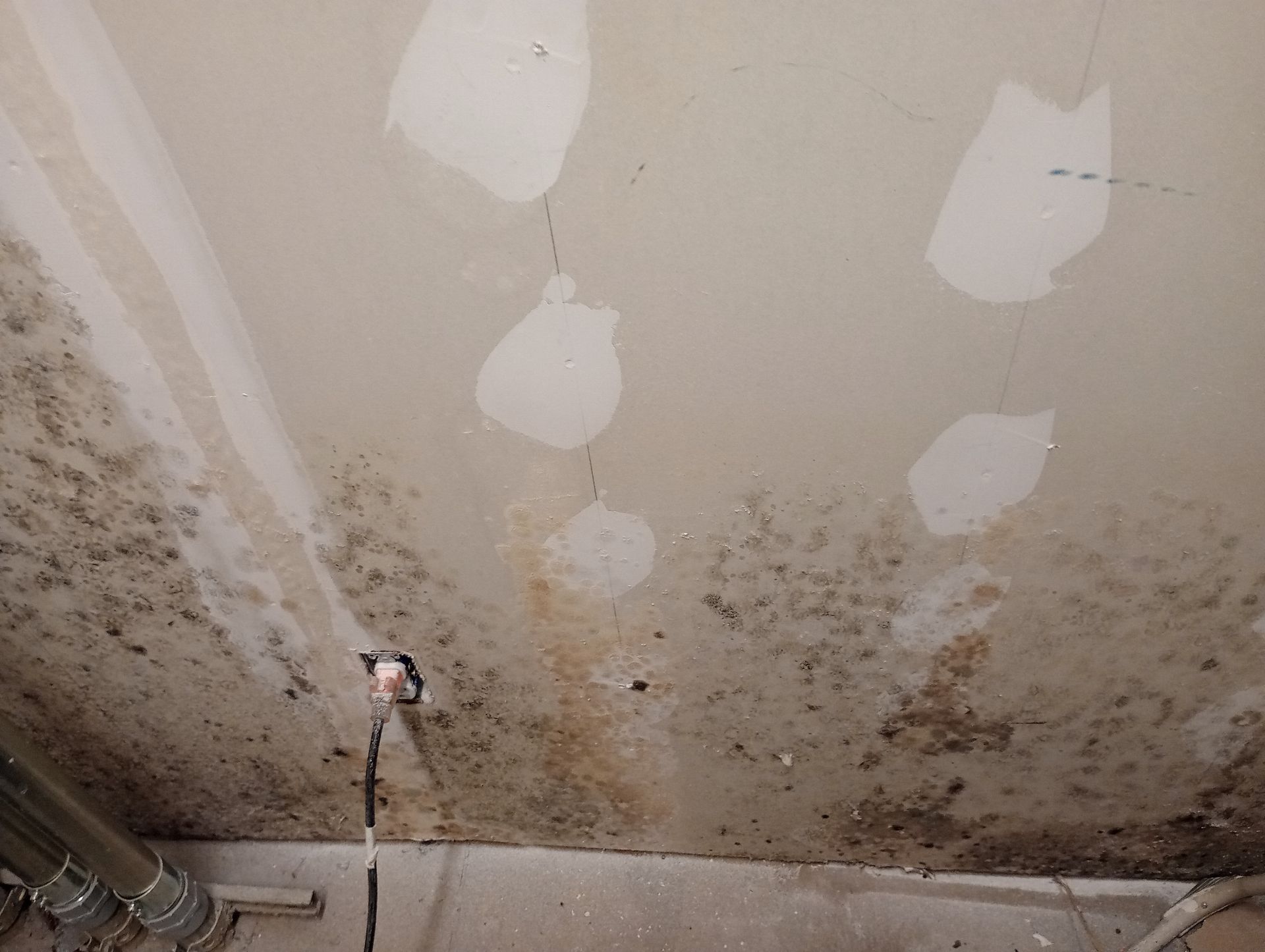 A Wall with A Lot of Mould on It