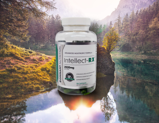 Intellect Rx Product on a valley in a lake