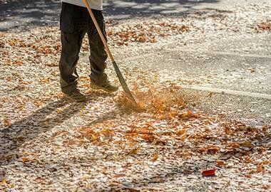 Tree Cutting - Tree Services in Los Angeles, CA