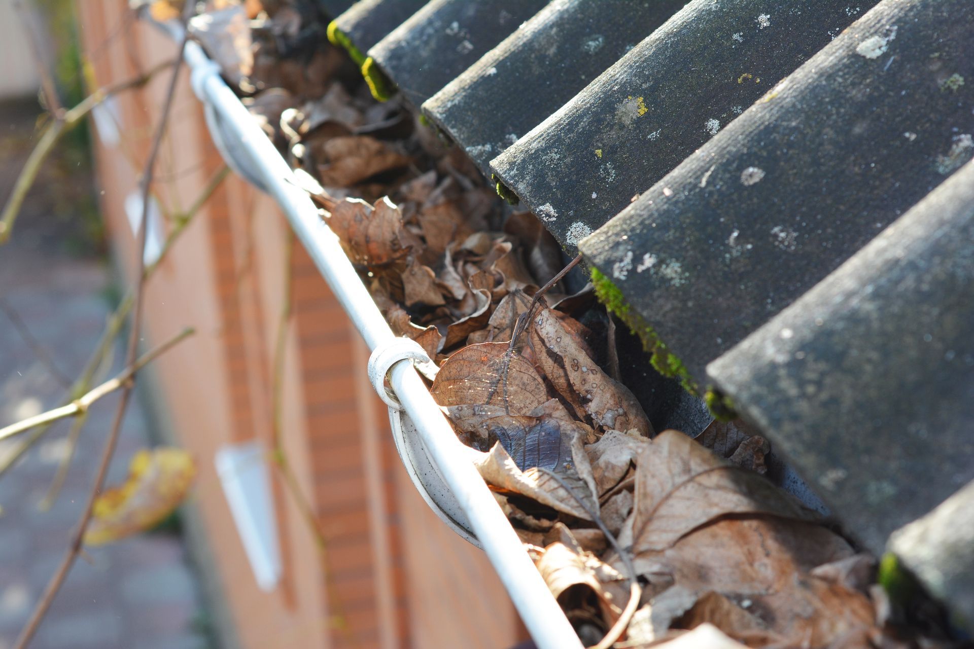 a person is cleaning a gutter of leaves from a house