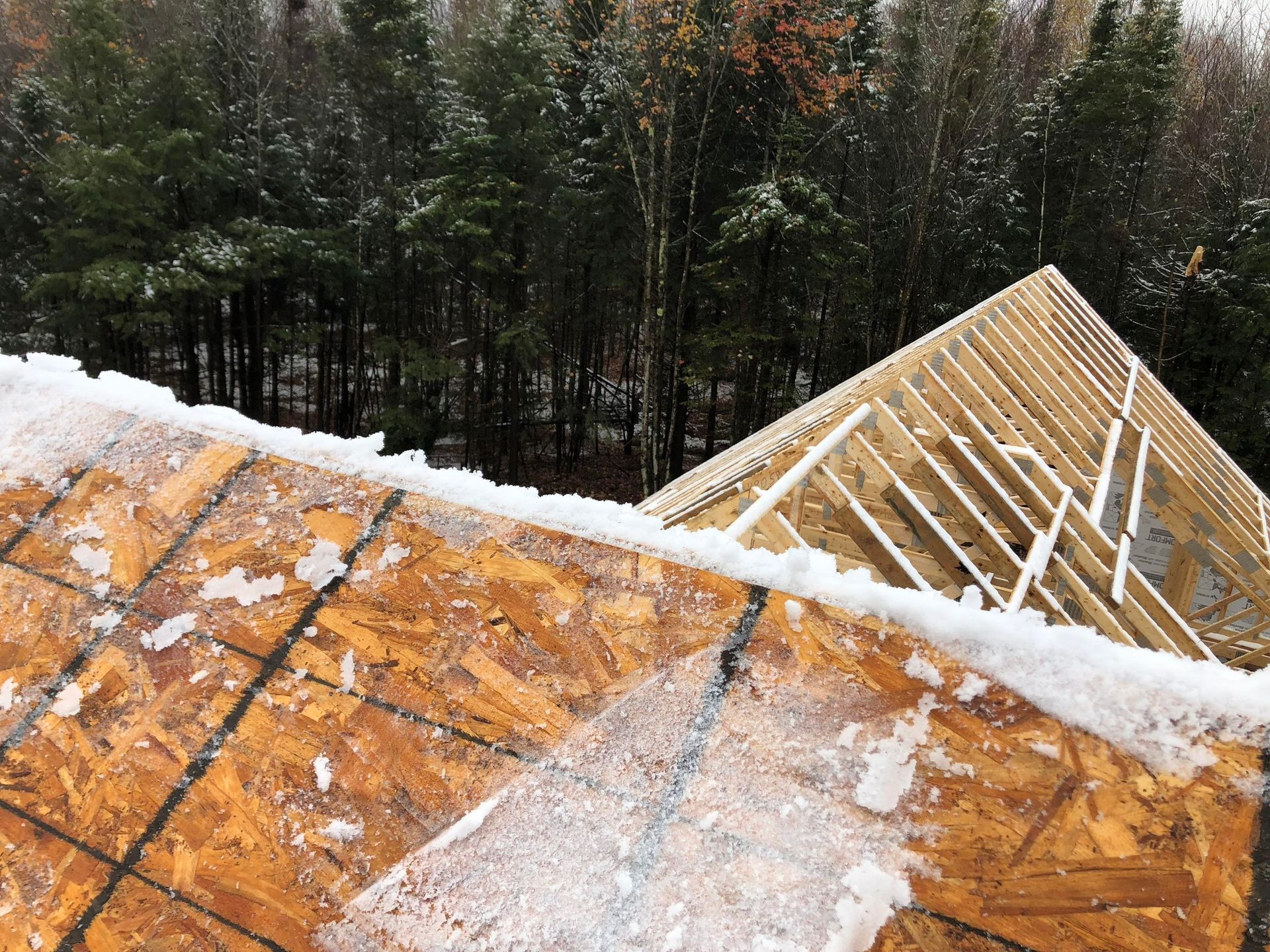 Un toit avec de la neige dessus est en train d'être construit dans les bois.