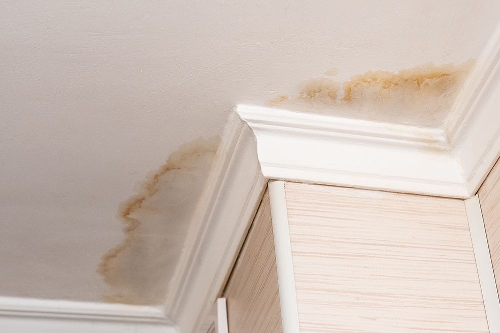 Brown water stain on a white ceiling, next to crown molding and a cabinet.