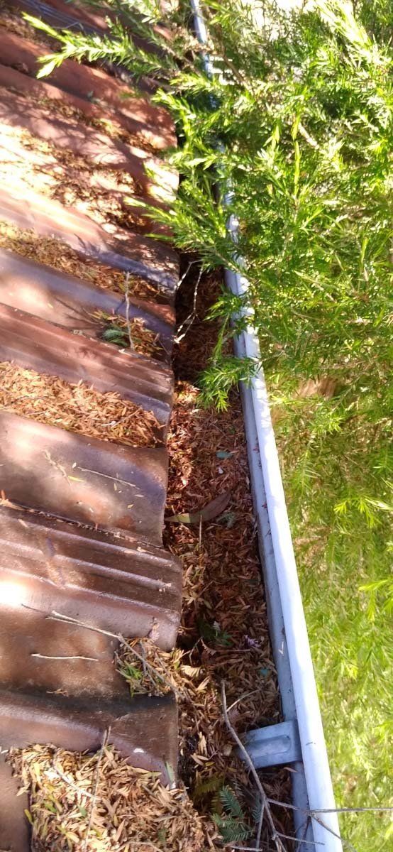 Gutter cleaning 01
