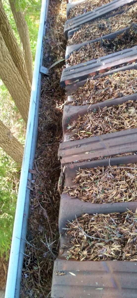 Gutter cleaning 03